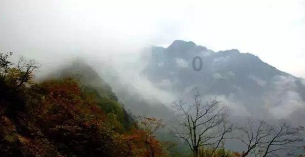 绣球花可以养冰箱吗？游戏画面